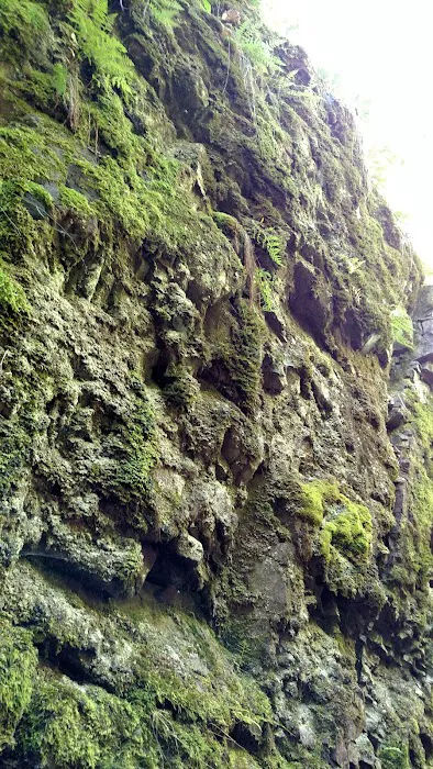 Penn Creek Camp Picture 7