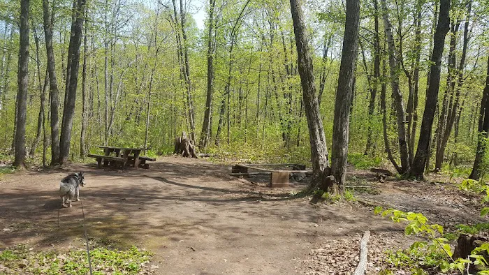 Penn Creek Camp Picture 9