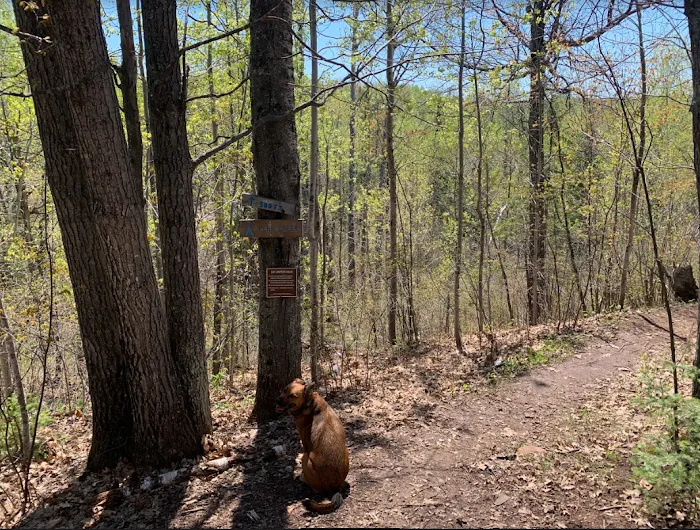 Penn Creek Camp Picture 10