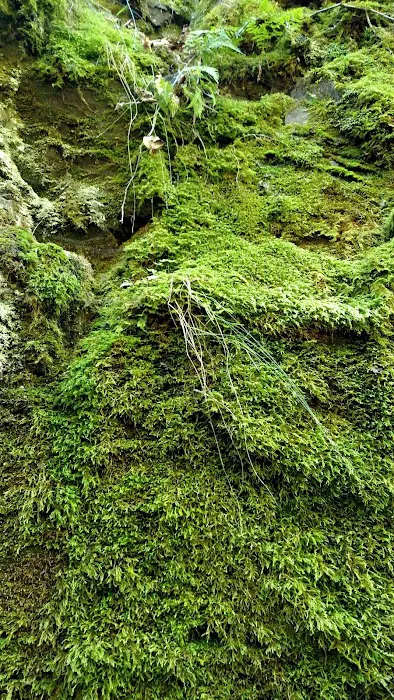 Penn Creek Camp Picture 3