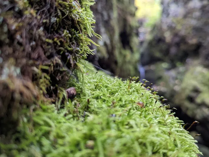 Penn Creek Camp Picture 1