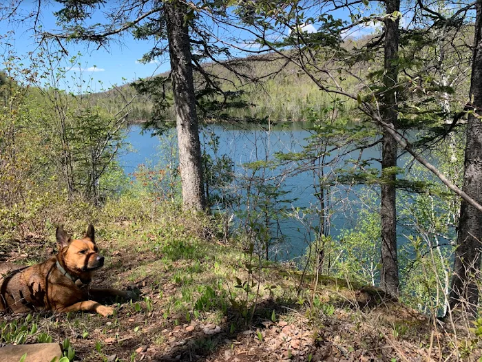 Bear Lake Campsite Picture 10