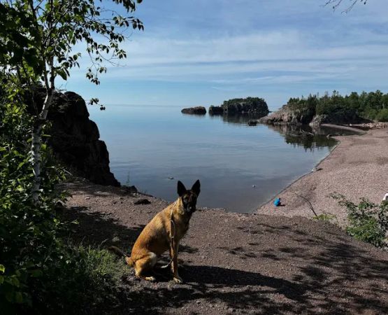 Black Beach Municipal Campground