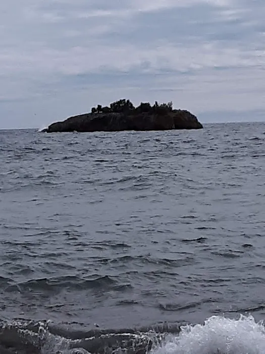 Black Beach Municipal Campground Picture 4