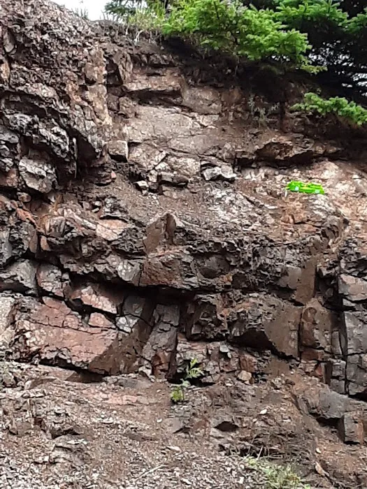 Black Beach Municipal Campground Picture 10