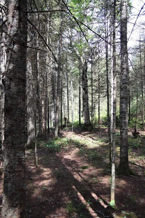 Finland Campground Picture 10