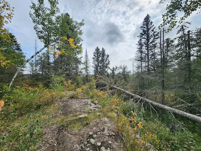 Finland Campground Picture 2