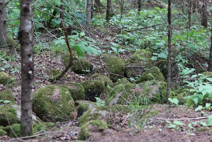 Finland Campground Picture 8