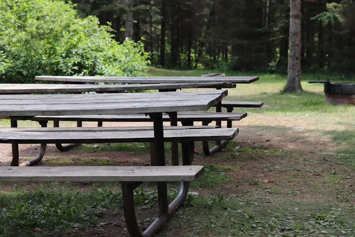 Finland Campground Picture 1