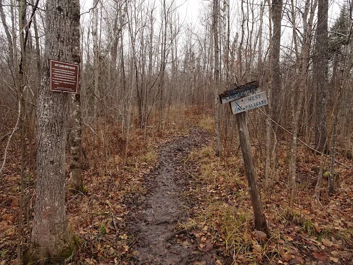 Palisade Creek West Campsite Picture 3