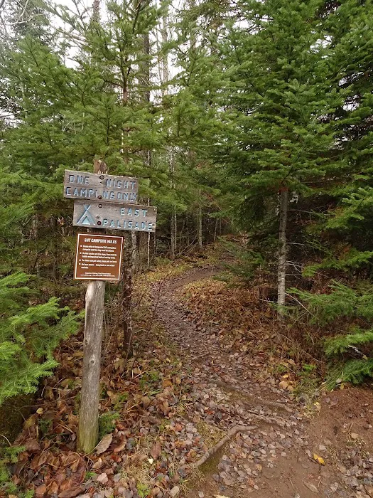 Palisade Creek East Campsite Picture 1