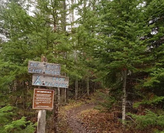 Palisade Creek East Campsite