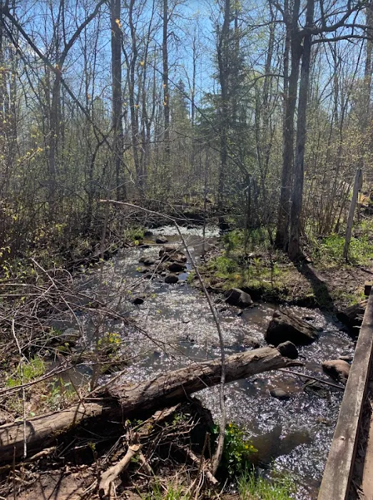 Palisade Creek East Campsite Picture 4