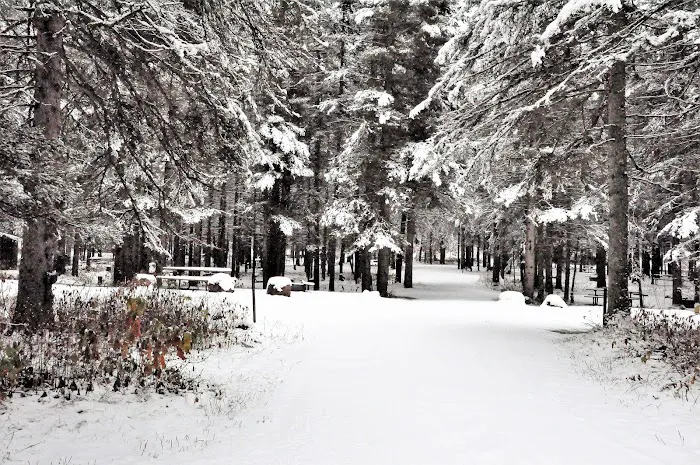 Eckbeck Campground Picture 8