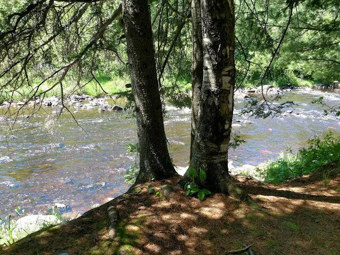 Eckbeck Campground Picture 7