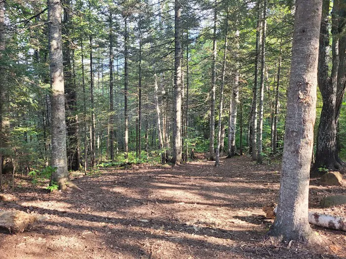 North Egge Lake Camp Picture 8