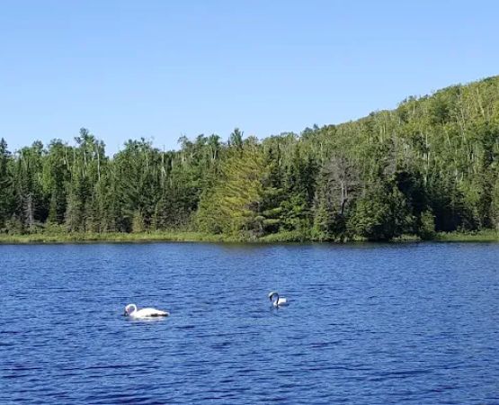 North Egge Lake Camp