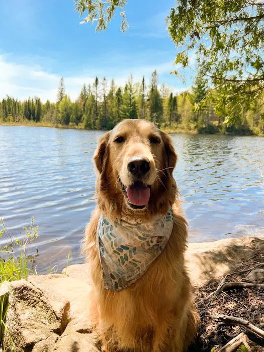 South Egge Lake Camp Picture 9