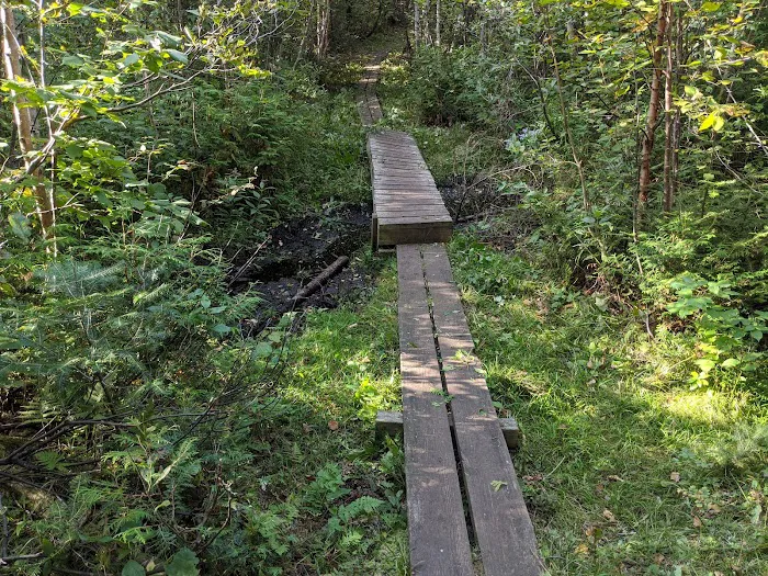 Leskinen Creek Camp Picture 2