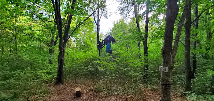 Leskinen Creek Camp Picture 1