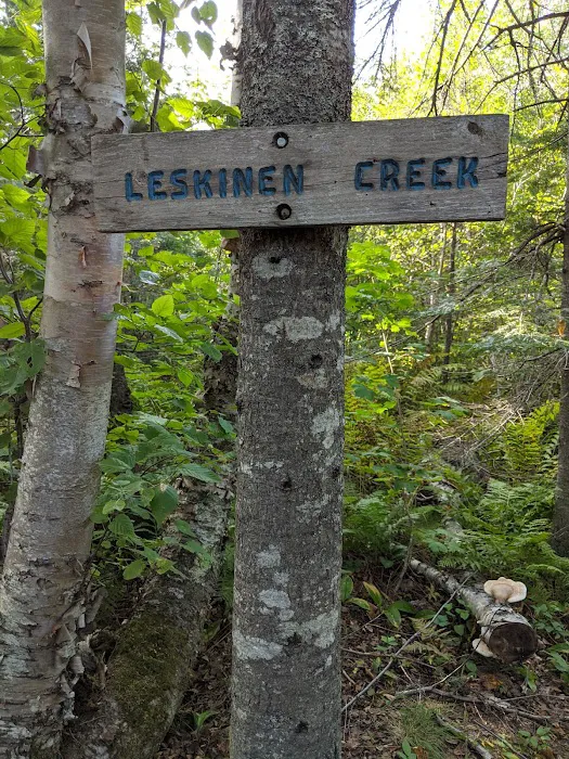 Leskinen Creek Camp Picture 7
