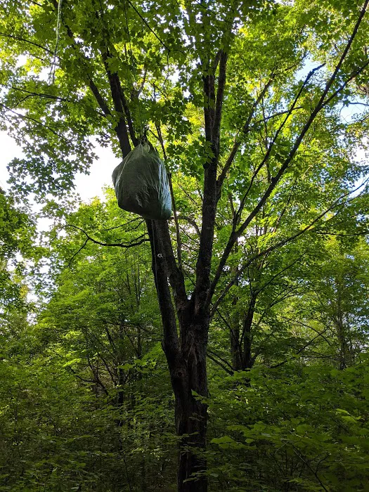 Leskinen Creek Camp Picture 4