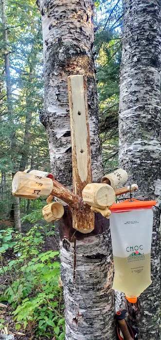 North Sonju Lake Camp Picture 5