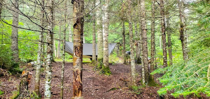 North Sonju Lake Camp Picture 4