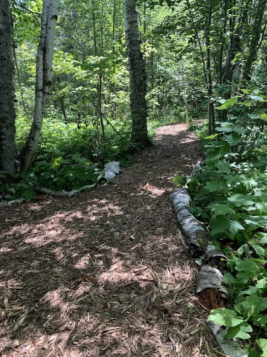 Lake Superior Cart-in Campground Picture 2