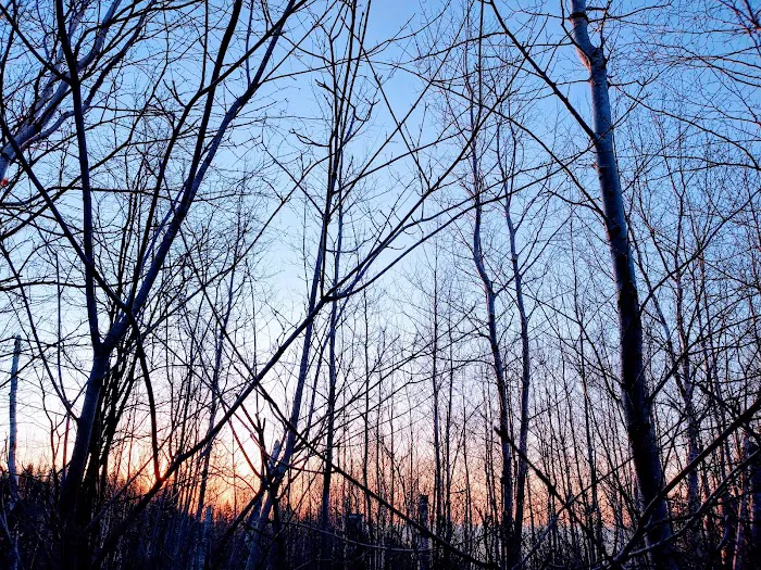 West Kennedy Creek Camp Picture 4