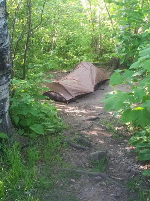 West Kennedy Creek Camp Picture 7