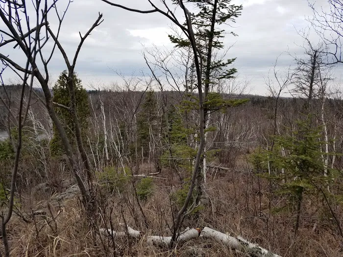 West Kennedy Creek Camp Picture 2