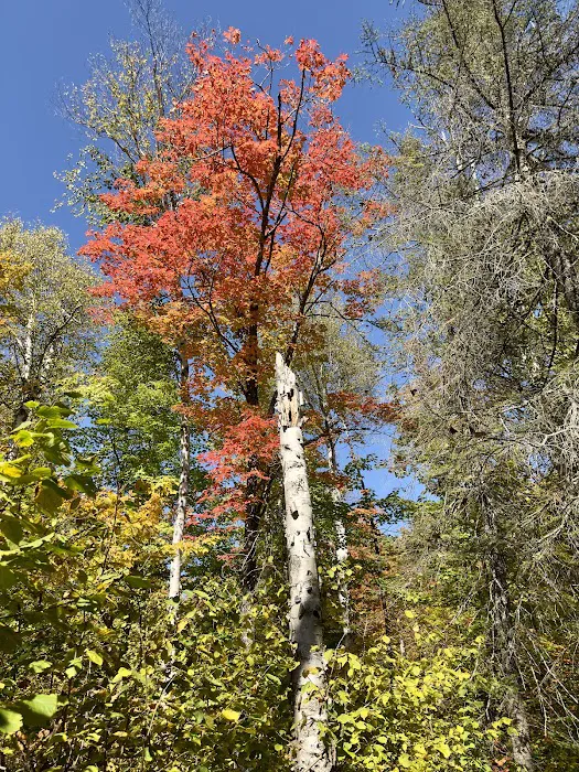 Section 13 Camp Picture 10