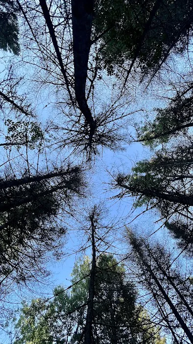 Aspen Knob Camp Picture 1