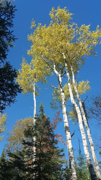 Aspen Knob Camp Picture 2