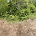 Manitou Backpack Campsite #19