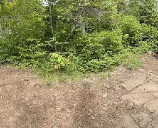 Manitou Backpack Campsite #19