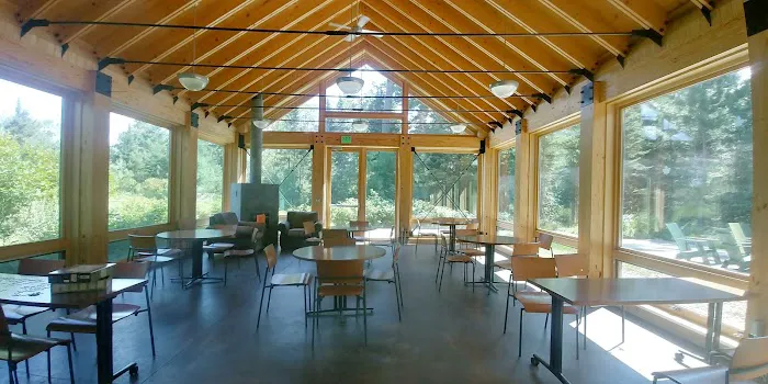 Bear Head Lake Campground Picture 1