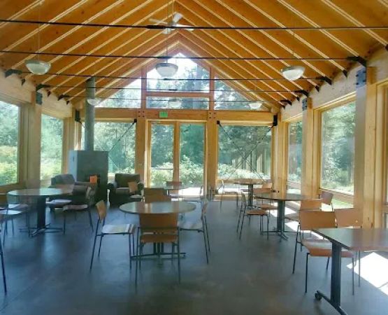 Bear Head Lake Campground