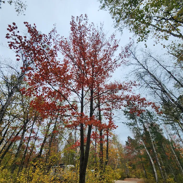 Bear Head Lake Campground Picture 6