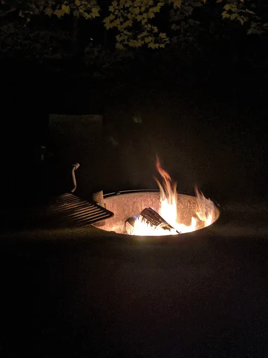 Bear Head Lake Campground Picture 5