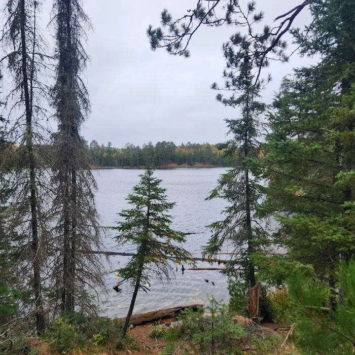 Bear Head Lake Campground Picture 8