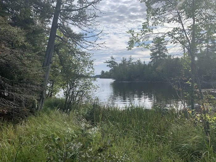 Lake Vermilion-Soudan Underground Mine State Park - Vermilion Ridge Campground Picture 9