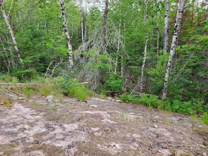 Lake Vermilion-Soudan Underground Mine State Park - Vermilion Ridge Campground Picture 10