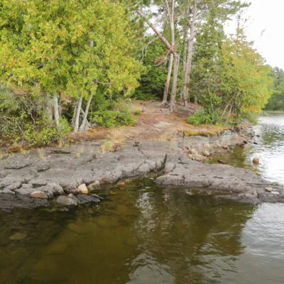 Pine Island North East USFS Campsite Picture 2
