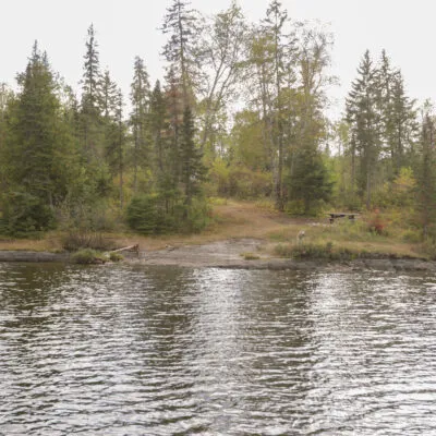 Pine Island North Central USFS Campsite Picture 5