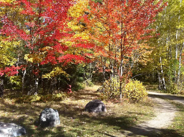 Cliff Wold's Campground Picture 7