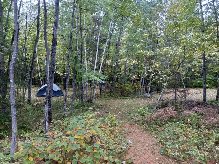 Cliff Wold's Campground Picture 6