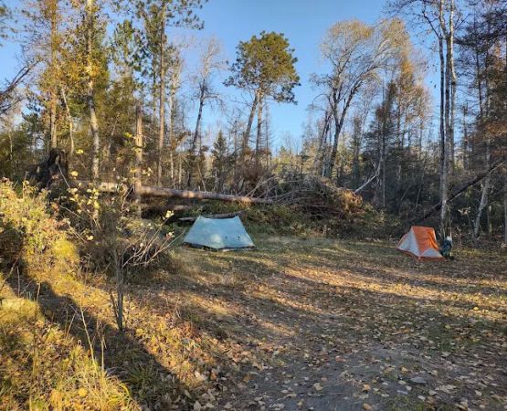 Lower Bass Lake Campsite
