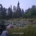 Section 29 Lake Campground